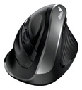 Mouse Genius Ergo Silver  8250 Inalambrico