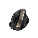 Mouse Genius Ergonomico  8250 Dorado Inalambrico