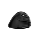 Mouse Genius Ergonomico  8250 Dorado Inalambrico