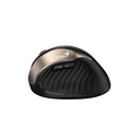 Mouse Genius Ergonomico  8250 Dorado Inalambrico