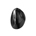 Mouse Genius Ergo Silver  8250 Inalambrico